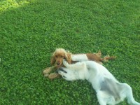 /album/fotos-y-videos/a3390-3720352050574-1148172885-n-jpg/