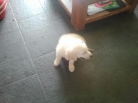 /album/fotos-y-videos/a255262-322436734519218-1765493858-n-jpg/