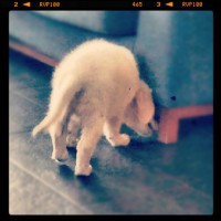 /album/fotos-y-videos/a380494-322437344519157-261067485-n-jpg/