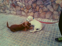 /album/fotos-y-videos/a422731-3681021747341-1414969550-n-jpg/